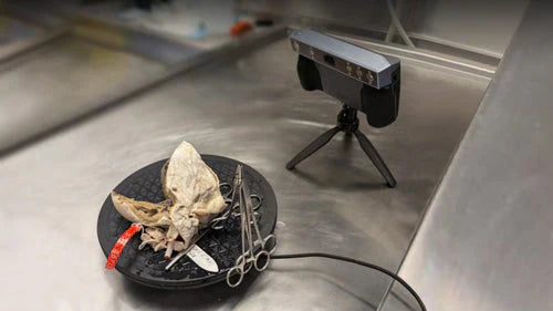 3D掃描技術改變小兒心臟病學的研究與學習